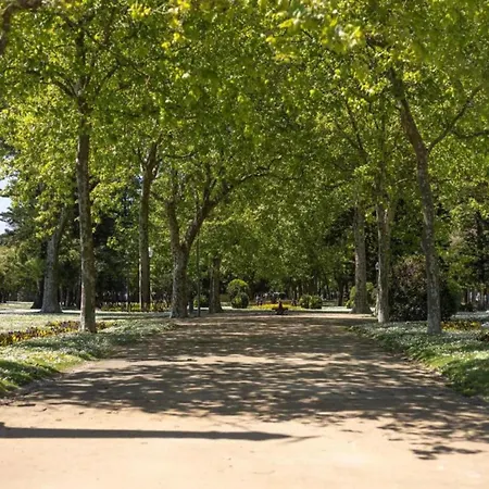 Διαμέρισμα Feel Porto Flat Iii